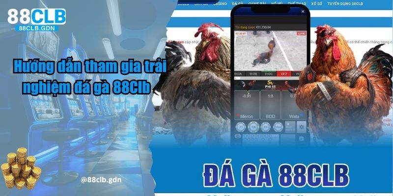 Hướng dẫn các bước tham gia đá gà 88Clb chi tiết nhất