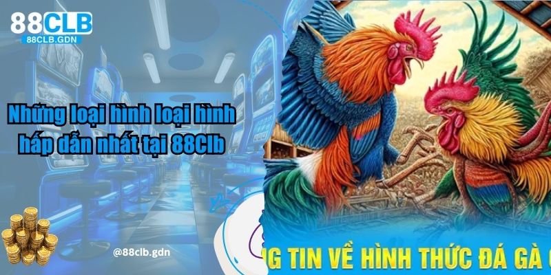 Một số loại hình đá gà 88Clb hấp dẫn nhất dành cho hội viên