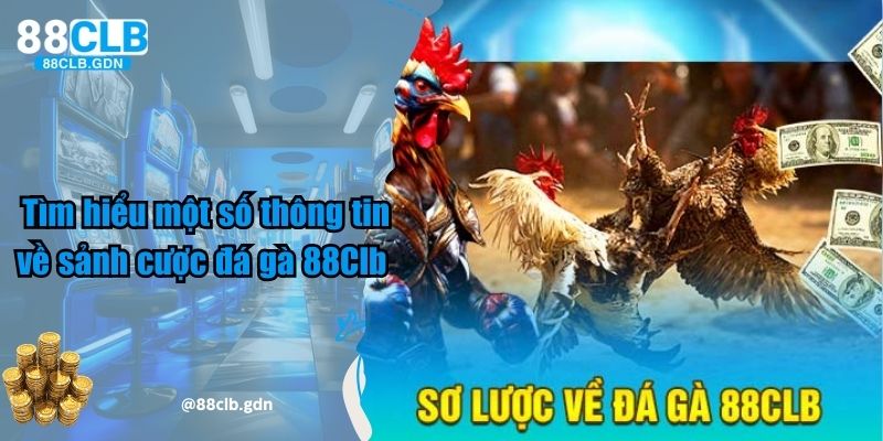 Một số thông tin về sảnh cược đá gà tại 88Clb